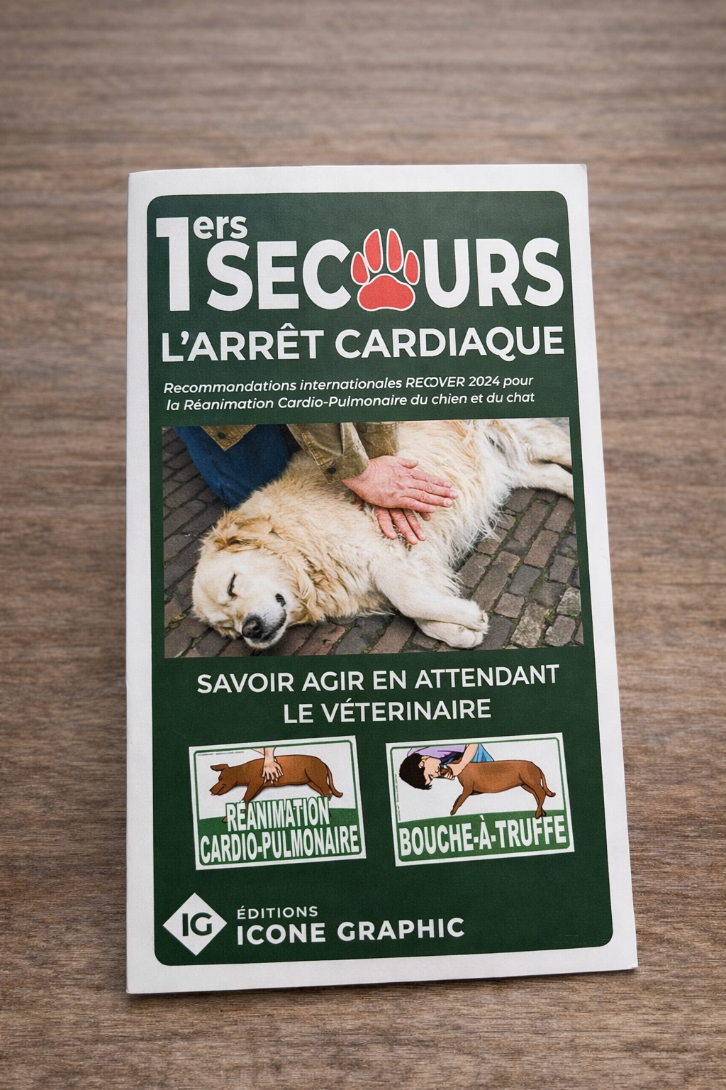 GUIDE PRATIQUE ILLUSTRÉ CHIEN & CHAT