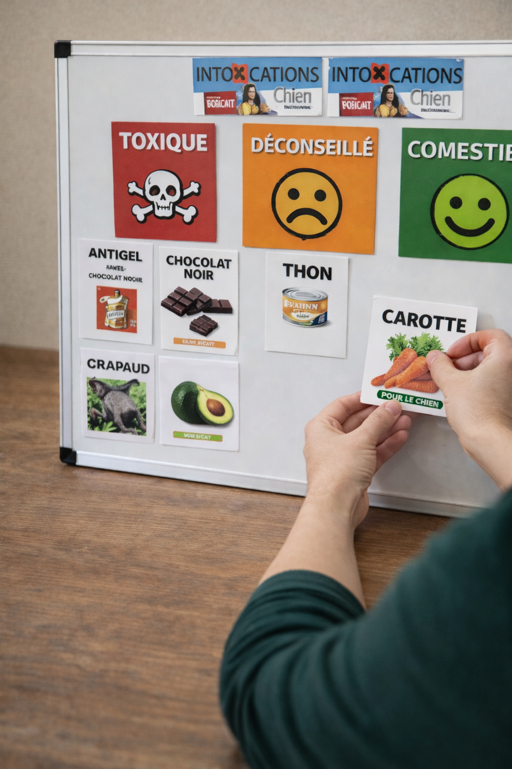 FORMATION INTOXICATIONS & DANGERS (3H) - CHIEN & CHAT